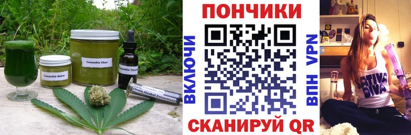 Купить закладки  Суоярви  Cannafood конопля 