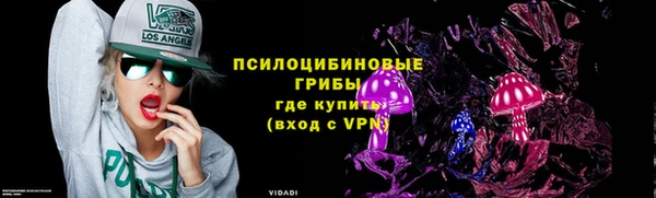 mix Касимов