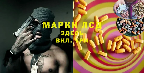 сатива Карпинск
