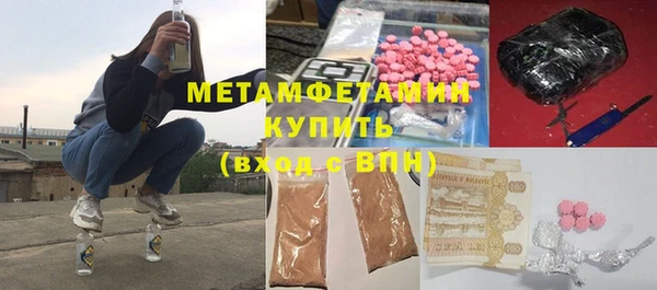 сатива Карпинск